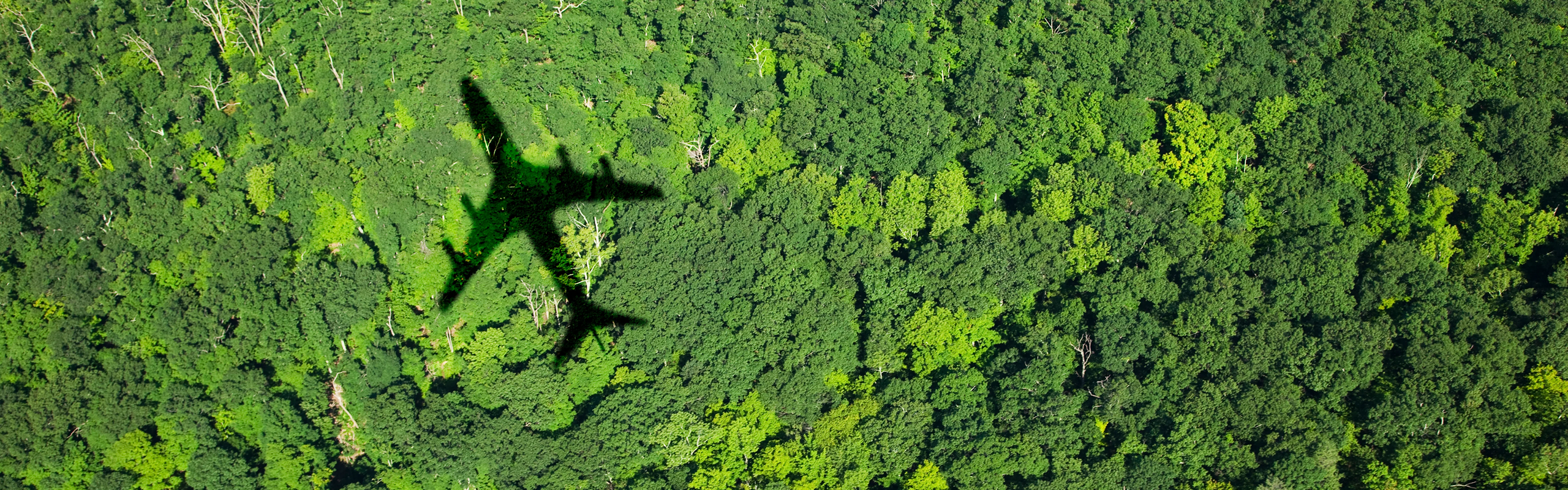 Your guide to electrolysis: the tech behind the green hydrogen revolution featured image